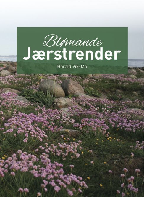 Hovedbilde Blømande Jærstrender